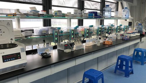 早篩創新與科技融合，天浚元生生物獲國高生物戰投，領跑教育科技軟件研發新賽道